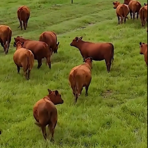 1.500,00 com apenas 0,03 centavos